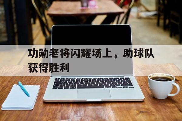 包含功勋老将闪耀场上，助球队获得胜利的词条