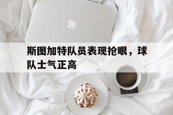 斯图加特队员表现抢眼，球队士气正高的简单介绍